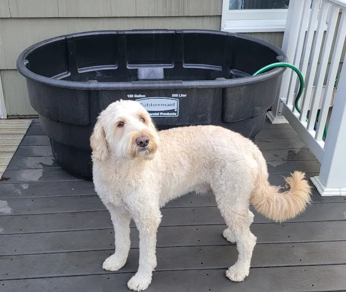 Center For Martial Arts Child Care Center Picture 4