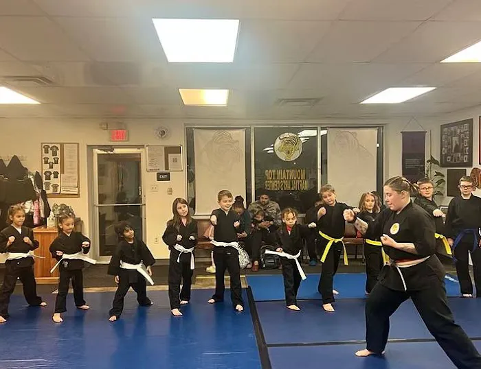 Mountain Top Martial Arts Center Picture 1
