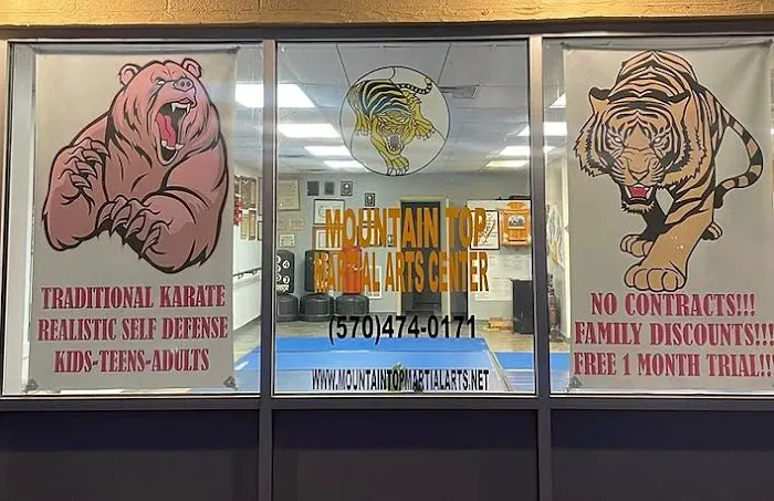 Mountain Top Martial Arts Center Picture 8