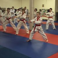 Wild Horse Martial Arts ico