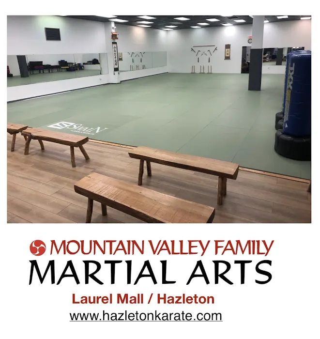 Mountain Valley Family Martial Arts Picture 3