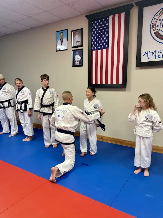 Robinson's Martial Arts Institute Picture 1