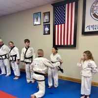 Robinson's Martial Arts Institute ico