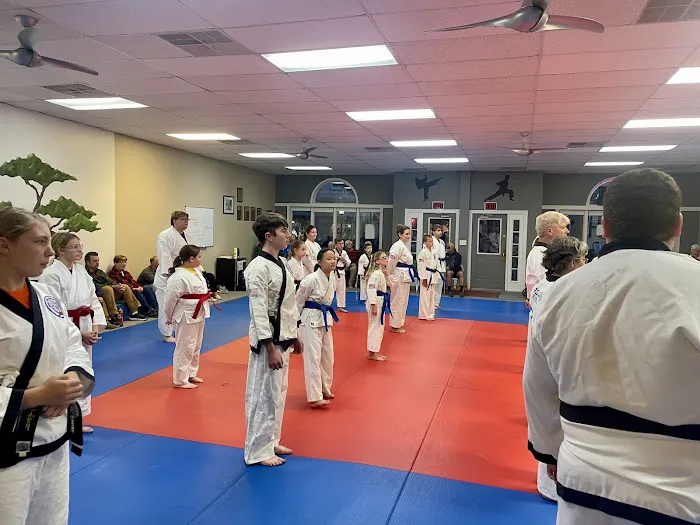 Robinson's Martial Arts Institute Picture 3