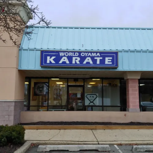 World Oyama Karate Picture 1