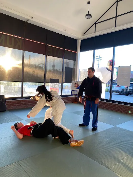 Steve DeMasco’s Martial Arts of Keene Picture 4