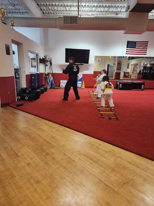 Steve DeMasco’s Martial Arts of Keene Picture 3