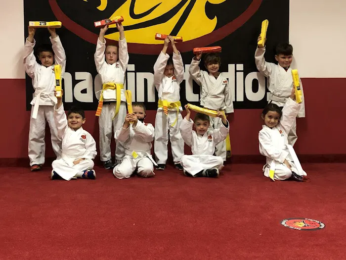 Steve DeMasco’s Martial Arts of Keene Picture 7