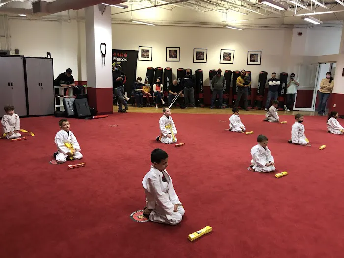 Steve DeMasco’s Martial Arts of Keene Picture 2