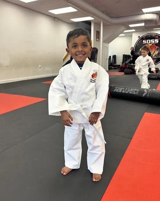 SDSS Martial Arts of Natick Picture 3