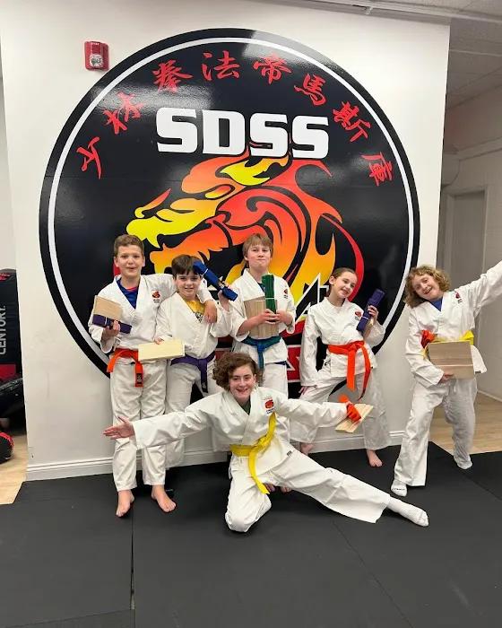 SDSS Martial Arts of Natick Picture 4