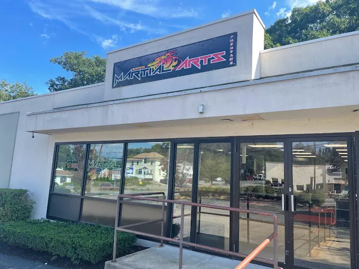 SDSS Martial Arts of Natick Picture 6