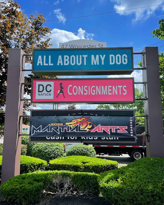 SDSS Martial Arts of Natick Picture 10