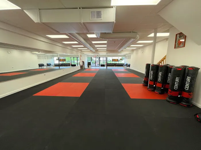 SDSS Martial Arts of Natick Picture 9