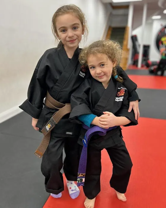 SDSS Martial Arts of Natick Picture 7