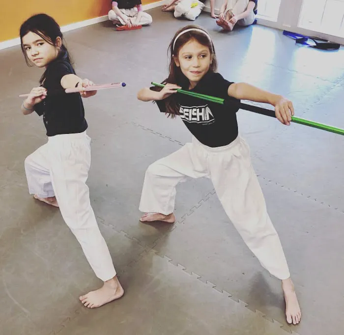 Velocity Martial Arts & Fitness Picture 3