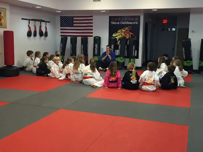 Steve DeMasco's Martial Arts of Wellesley Picture 3