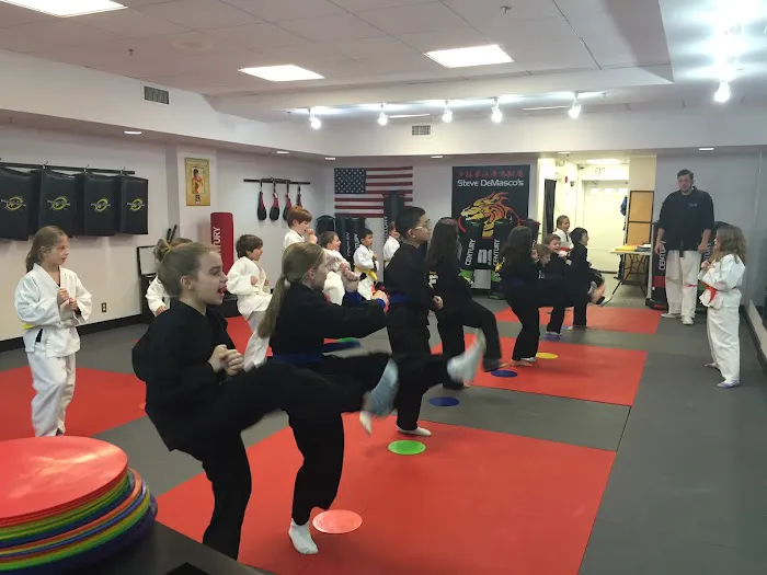 Steve DeMasco's Martial Arts of Wellesley Picture 1