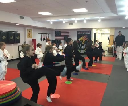 Steve DeMasco's Martial Arts of Wellesley
