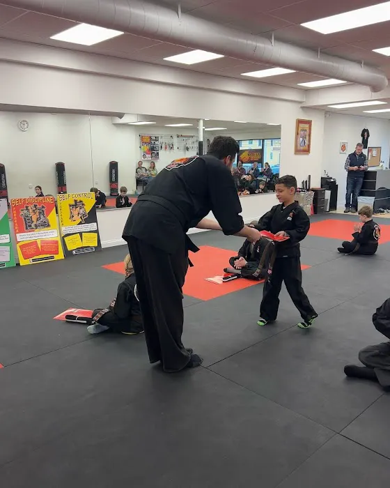 Steve DeMasco's Martial Arts of Wellesley Picture 4