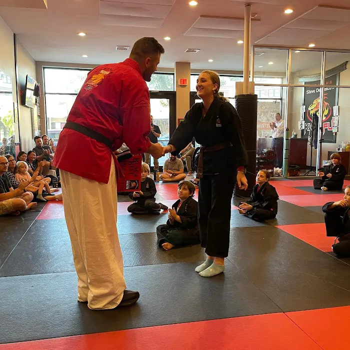 Steve DeMasco's Martial Arts of Wellesley Picture 7