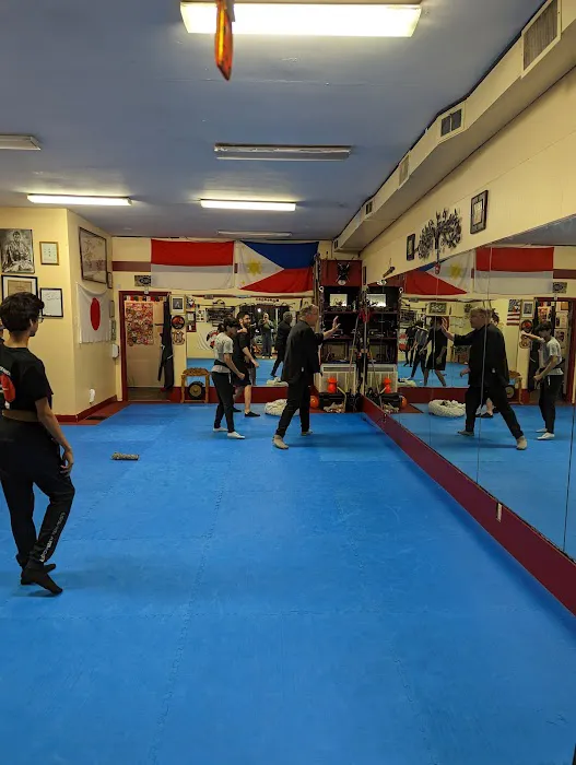 Pence Self-Defense Academy Picture 5