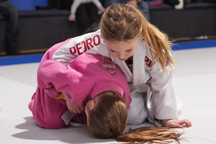 Pedro's Judo Center Picture 4