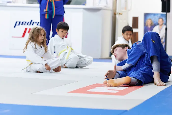 Pedro's Judo Center Picture 5