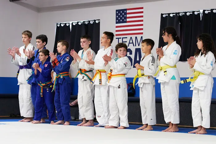 Pedro's Judo Center Picture 3