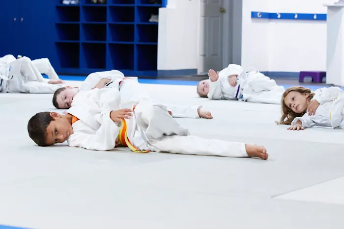 Pedro's Judo Center Picture 2