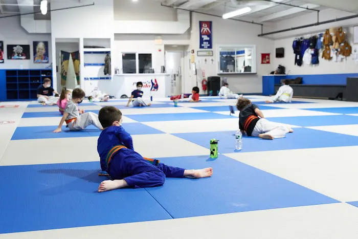 Pedro's Judo Center Picture 8