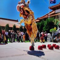 CHUA Martial Arts ico