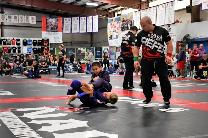 Infinite Brazilian Jiu Jitsu Picture 1