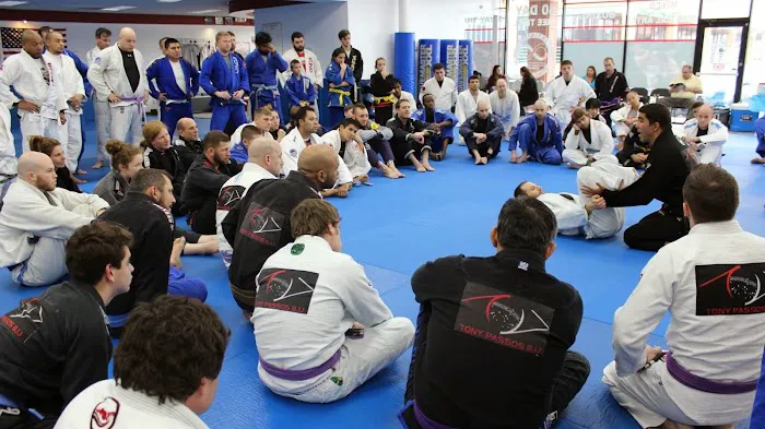Infinite Brazilian Jiu Jitsu Picture 4