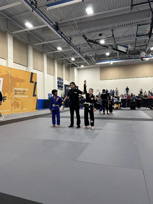 Infinite Brazilian Jiu Jitsu Picture 7