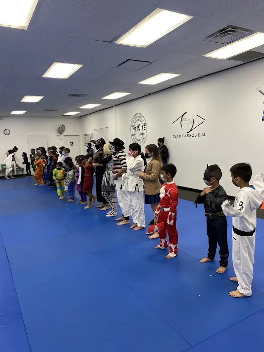 Infinite Brazilian Jiu Jitsu Picture 5