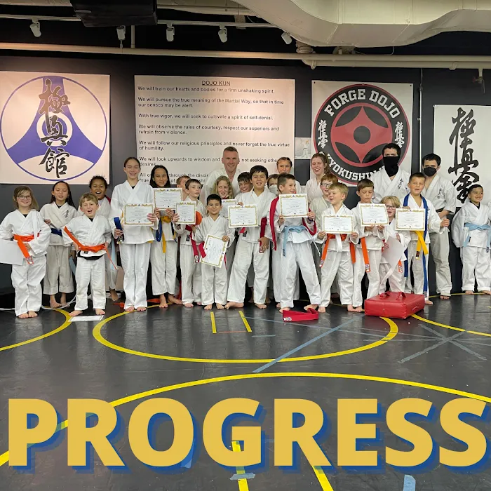 Forge Dojo Picture 9