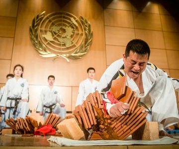Discover the History of the Tae Kwon Do Demonstration at the United Nations