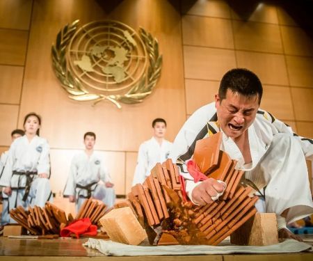 Discover the History of the Tae Kwon Do Demonstration at the United Nations