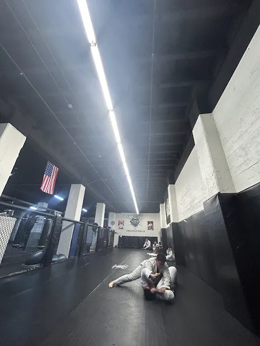 Rise Athletics LA: Best HIIT, MMA & Kickboxing Classes in Los Angeles CA Picture 4