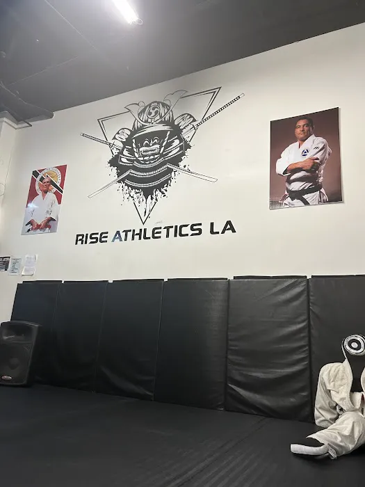 Rise Athletics LA: Best HIIT, MMA & Kickboxing Classes in Los Angeles CA Picture 3