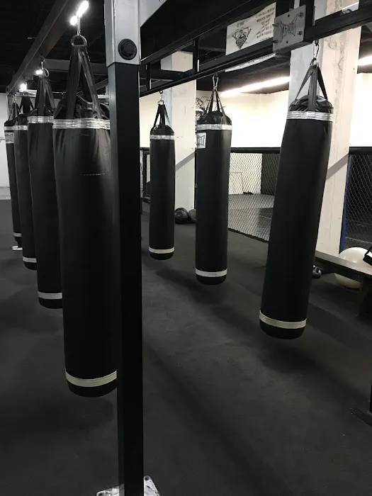 Rise Athletics LA: Best HIIT, MMA & Kickboxing Classes in Los Angeles CA Picture 8