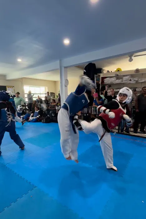 Guerreros Taekwondo Academy Picture 1