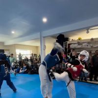 Guerreros Taekwondo Academy ico