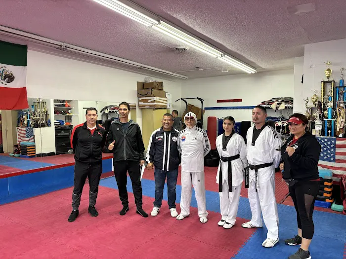 Guerreros Taekwondo Academy Picture 8
