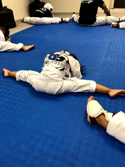 360 Taekwondo: Martial Arts & Fitness Picture 2