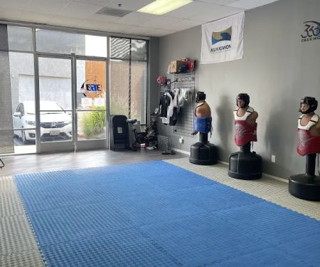 360 Taekwondo: Martial Arts & Fitness