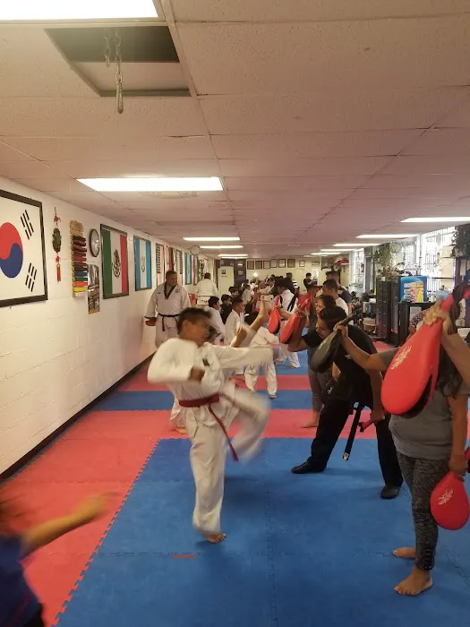 Royalty taekwondo Picture 3