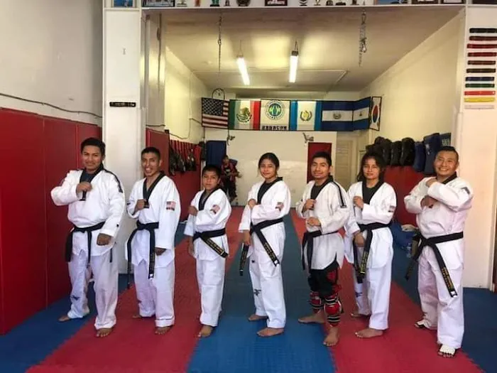 CTF Chanax's Taekwondo Fighters Picture 2