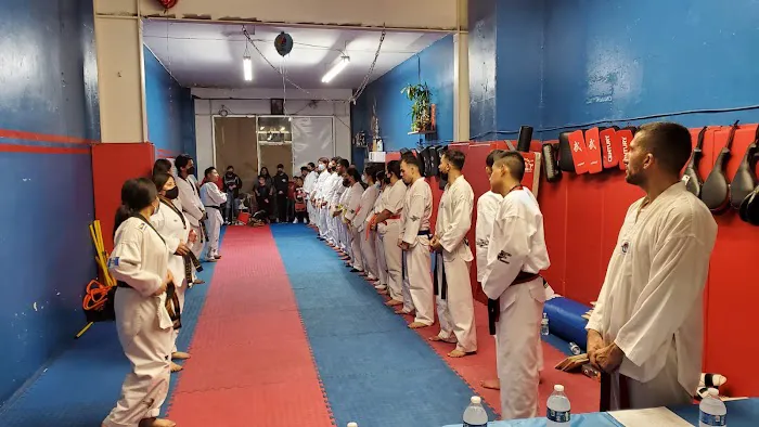 CTF Chanax's Taekwondo Fighters Picture 5